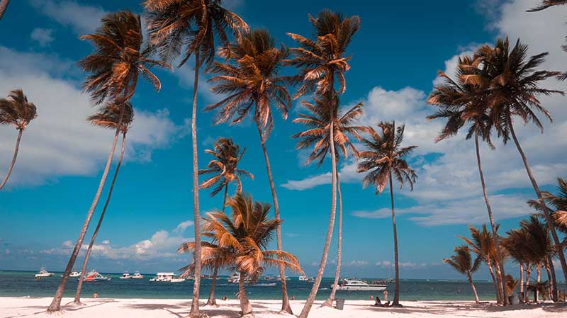 Destacada Punta Cana un destino inolvidable - Punta Cana: Un destino inolvidable