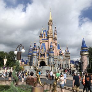Magic Kingdom2 300x300 - ¡Vive la magia de Disney!
