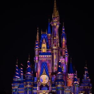 Magic Kingdom3 300x300 - ¡Vive la magia de Disney!