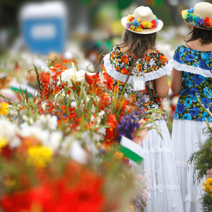 La Feria de las Flores, es la celebración más grande de Medellín. Los Silleteros recorren la ciudad con sus arreglos florales a la espalda.