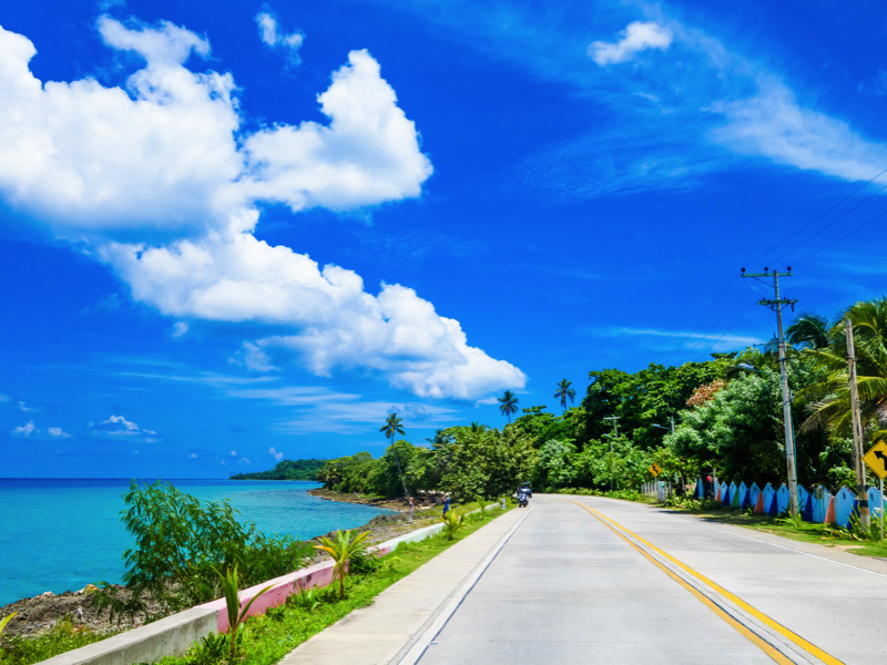 Palm trees in one side of a road in San Andres, Colombia in a beautiful beach background