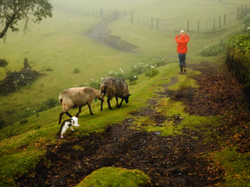 Panorama del Volcán Barú al amanecer