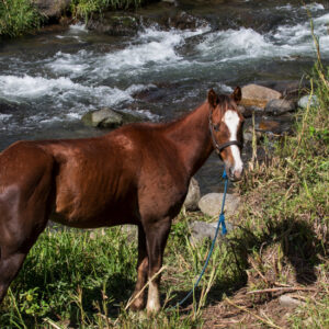 Experiencia Rancho Nuovo Mondo