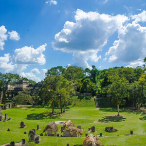 Ruinas de Tikal en Guatemala con exuberante vegetación alrededor