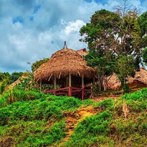 Imagen de una comunidad Emberá mostrando su cultura y entorno natural