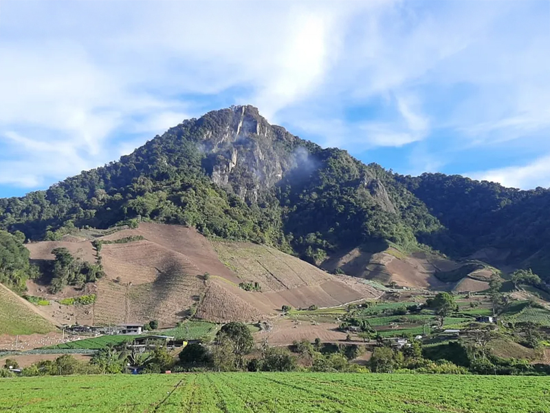 Vista panorámica de Cerro Punta en Panamá rodeado de exuberante vegetación