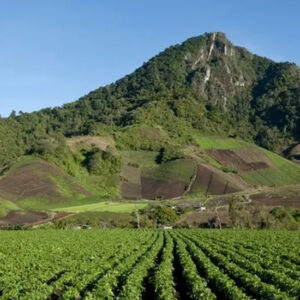 Banner de Cerro Punta en Panamá bajo un cielo azul