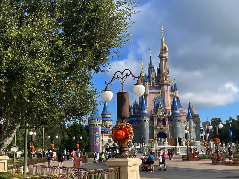 Familias disfrutando de un día mágico en Disney