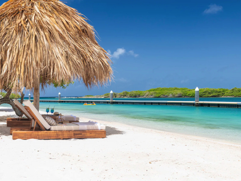 Sandalias elegantes con diseño floral para la temporada de verano