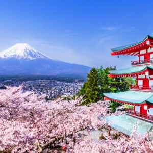 Cherry Blossom Tour Japón 2026